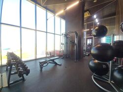 Eon Shenton (D2), Office #466418321